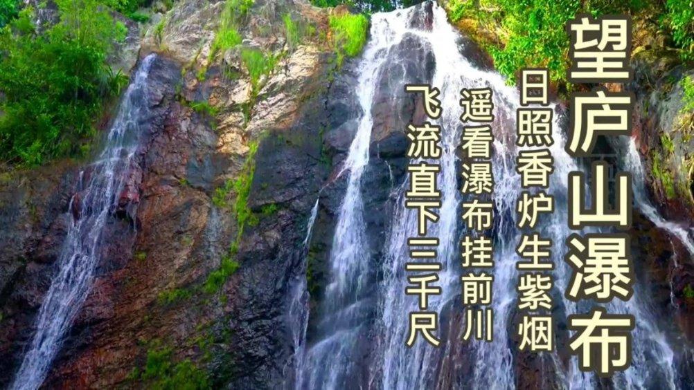 逃出猫头鹰屋