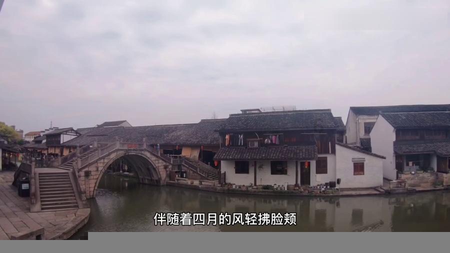 宝藏姐辛芷蕾治好了我的内耗，内娱活人怎能少了她