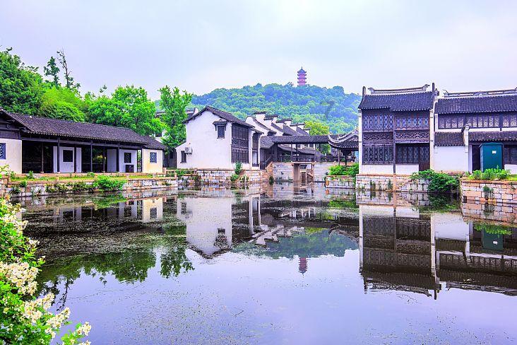 春雨直播app