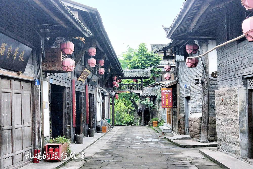 拯救机灵鸟